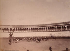 Sevilla, interior de la plaza de toros de "La Maestranza", con el desfile de jinetes con uniforme militar. Fotógrafo desconocido