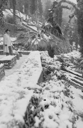 Málaga nevada. Jardines de Puerta Oscura. Febrero de 1954. España-01