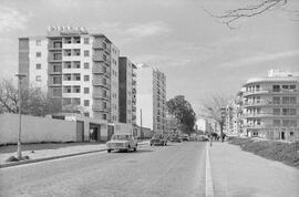 Camino de Antequera. 1970, febrero. Málaga, España.