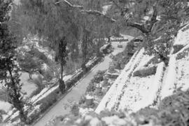 Málaga nevada. Jardines de Puerta Oscura. Febrero de 1954. España-02