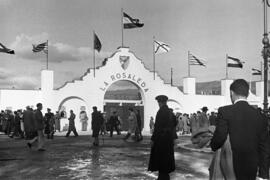 Estadio de fútbol La Rosaleda. Nueva fachada. Málaga. Enero de 1951.  Málaga, España
