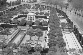 Málaga nevada. Jardines de Pedro Luis Alonso. Febrero de 1954. España-09