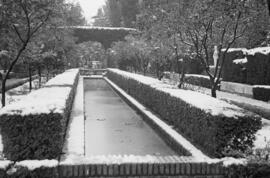 Málaga nevada. Jardines de Puerta Oscura. Febrero de 1954. España-07