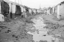 Viviendas. Arroyo del Cuarto. 1955-11, noviembre. Inundaciones de 29 de octubre. Málaga, España.