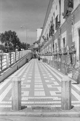Avenida de La Rosaleda. Barrio del Molinillo. Agosto de 1961. Málaga, España.
