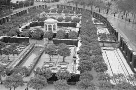 Málaga nevada. Jardines de Pedro Luis Alonso. Febrero de 1954. España-10