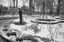 Málaga nevada. El Parque. Febrero de 1954. España-05