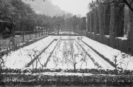 Málaga nevada. Jardines de Pedro Luis Alonso. Febrero de 1954. España. 01