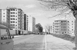 Camino de Antequera. 1970, febrero. Málaga, España.