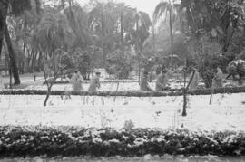 Málaga nevada. El Parque. Febrero de 1954. España-02