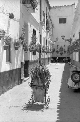 Calle. Barrio de la Trinidad. Agosto de 1961. Málaga, España.