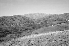 Montes de la Axarquía. Rincón de la Victoria. Febrero de 1954. España.