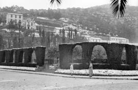 Málaga nevada. Jardines de Pedro Luis Alonso. Febrero de 1954. España-11