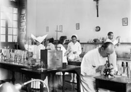 Laboratorio de análisis clínicos del Hospital Civil. Hacia 1950. Málaga, España. 01