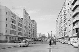 Camino de Antequera. 1970, febrero. Las Chapas. Málaga, España.