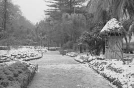 Málaga nevada. El Parque. Febrero de 1954. España-07