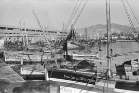 Puerto. Pescadería y muelle pesquero. Hacia 1950. Málaga, España