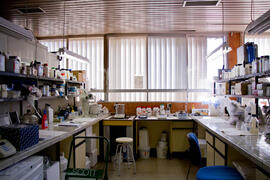 Laboratorio de Ciencias. Mayo de 2013