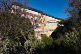 Exteriores de la Facultad de Ciencias de la Universidad de Málaga. Campus de Teatinos. Febrero de...