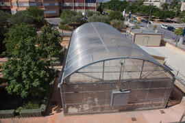 Jardín Botánico de la Universidad de Málaga. Campus de Teatinos. Octubre de 2012