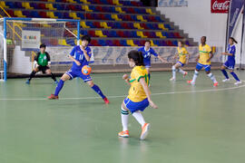 Partido Brasil contra China Taipéi. 14º Campeonato del Mundo Universitario de Fútbol Sala 2014 (F...