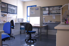 SCAI: Servicios Centrales de Apoyo a la Investigación. Biología Molecular. Campus de Teatinos. Ma...