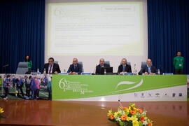 Panel de expertos. 6º Congreso Internacional de Actividad Física Deportiva para Mayores. Escuela ...