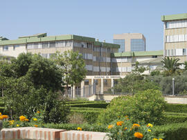 Facultad de Ciencias. Campus de Teatinos. Junio de 2007