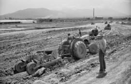 Obreros de la construcción de la fábrica de Amoniaco Español. Carretera de Cártama. Mayo, 1963.
