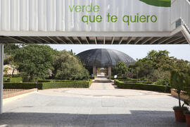 Jardín Botánico de la Universidad de Málaga. Campus de Teatinos. Junio de 2009