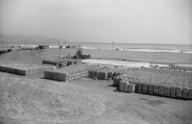 Málaga. Máquina de Zafra en las playas de la Misericordia. Marzo de 1963