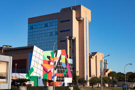 Edificio del Instituto de Investigación y Biblioteca de I+D. Campus de Teatinos. Diciembre de 2020