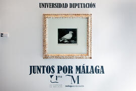 Exposición "Universidad-Diputación. Juntos por Málaga". Sala de exposiciones de la Dipu...