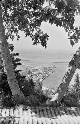 Málaga. Vistas del Puerto de Málaga. Abril de 1963