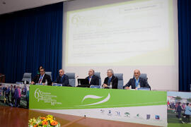 Panel de expertos. 6º Congreso Internacional de Actividad Física Deportiva para Mayores. Escuela ...