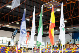 Banderas en la ceremonia de apertura del Campeonato del Mundo Universitario de Balonmano. Anteque...