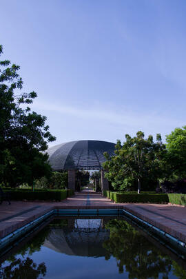 Jardín Botánico. Campus de Teatinos. Mayo de 2013