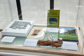 Inauguración de la exposición "El Bosque en Palabras". Biblioteca General. Mayo de 2011