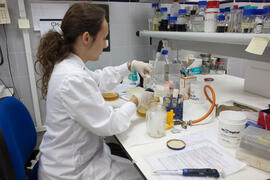 Laboratorio de Bioquímica. Octubre de 2012