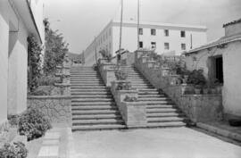 Escaleras cercanas al mercado municipal de El Palo. Málaga. Agosto de 1963