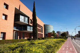 Biblioteca General. Campus de Teatinos. Febrero de 2021
