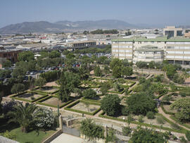Jardín Botánico. Campus de Teatinos. Junio de 2007