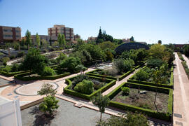 Jardín Botánico de la Universidad de Málaga. Campus de Teatinos. Octubre de 2012