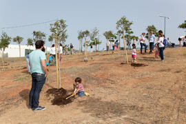 Incorporación de nuevos árboles al Bosque del Conocimiento. Campus de Teatinos. Mayo 2015