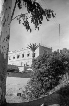 Málaga. Finca del Obispado en Velez-Málaga. Marzo de 1963