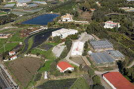 Vistas aéreas de la Estación Experimental IHSM La Mayora. Algarrobo-Costa. Diciembre de 2016