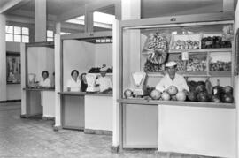 Interior del nuevo mercado municipal de El Palo. Málaga. Agosto de 1963