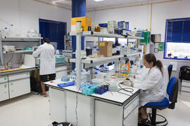 Laboratorio de Bioquímica. Octubre de 2012