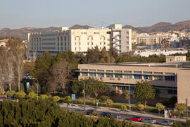 Facultad de Medicina desde Ciencias. Campus de Teatinos. Marzo de 2014
