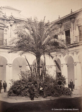 Sevilla, Palacio de San Telmo, patio con el jardinero. Reynoso.
